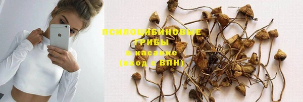 apvp Балабаново
