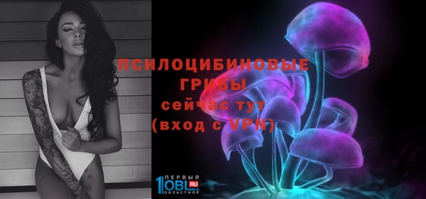 стаф Баксан