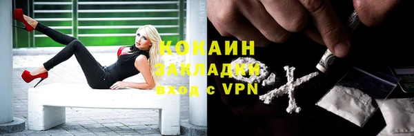 стаф Баксан