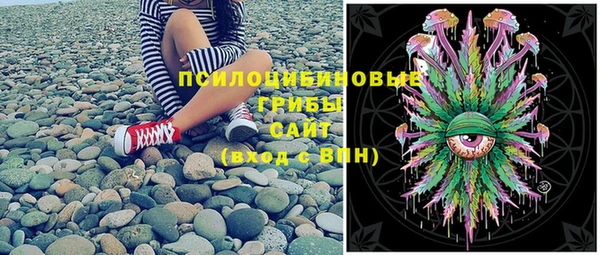 стаф Баксан