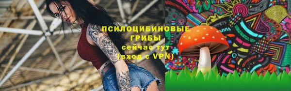 стаф Баксан