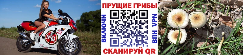 где найти наркотики  Лабытнанги  Псилоцибиновые грибы ЛСД 